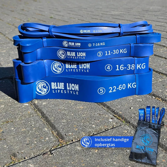 Bandes élastiques Blue Lion